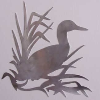 canard sauvage