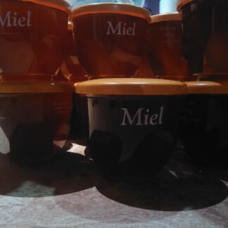 MIEL de MONTAGNE 500g